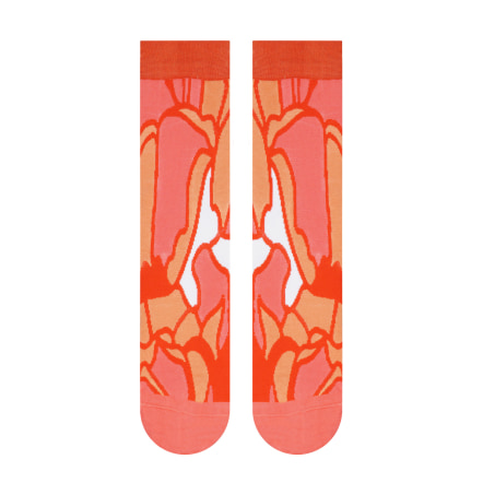 Kristall Socken - WÜSTE Kollektion  - WWF®  (2)