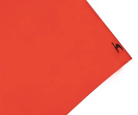 SLB Badeshorts Benfica (2)