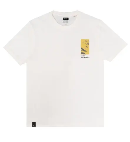 Futah Adoptiere eine Katze